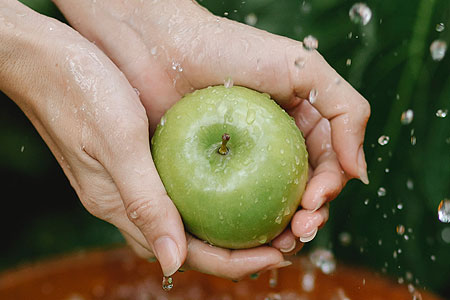 Hände halten einen frischen, grünen Apfel